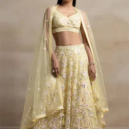 DIVASTRI Embellished Sequinned Semi-Stitched Lehenga & Unstitched Blouse With Dupatta-picture-8