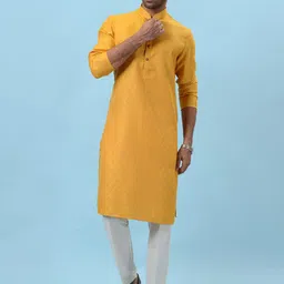 azania Geometric Woven Design Mandarin Collar Long Sleeves Regular Straight Kurta-picture-12