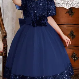 Vani Enterprise Net Fit & Flare Midi Dress image 4