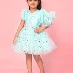 BAESD Floral Flutter Sleeve Net Fit & Flare Dress image 3