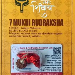 7 Mukhi Rudraksha With Lab Certified Wood Pendant-image-65