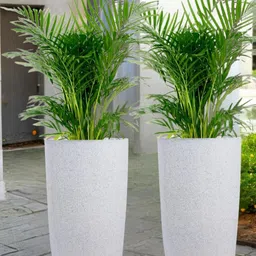 18 Inch Tower Pots with Saucer Tray Planter-51