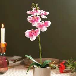 Pure Home and Living Pink 1 Pieces Orchid Artificial Flower With Pot-51