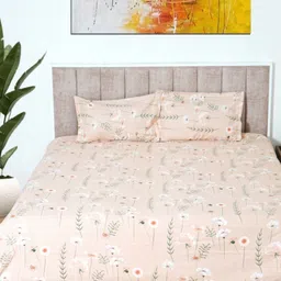 Glaxomas Peach & White Floral Printed 250 TC King Bedsheet With 2 Pillow Covers-image-62