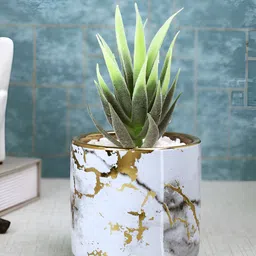TAYHAA White 1 Pieces Succulent Artificial Plant With Pot-image-68