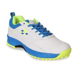 Hoopers Men Cricket Shoes-image-44