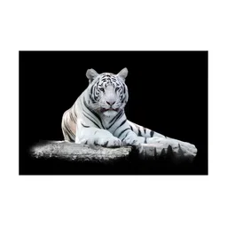 Inephos White And Black Birds And Animals Printed Canvas Wall Art-48