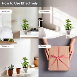 UMAI Green & White Artificial Flower With Pot image 4