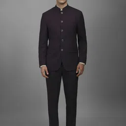 Louis Philippe Textured Single-Breasted Two Piece Formal Suit-45