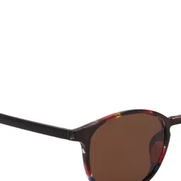 Ted Smith Unisex Wayfarer Sunglasses with Polarised and UV Protected Lens image 5