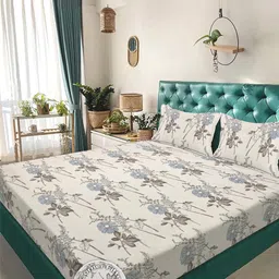 KLOTTHE Cream-Coloured Floral Printed Fitted 300 TC King Bedsheet With 2 Pillow Covers-picture-22