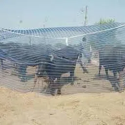 buyagain Polyester Infants Washable Mosquito Net HDPE Animal Mosquito Nets for Cow/Buffalo (15 x 15 x 10 ft) Mosquito Net image 2