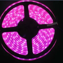 130 LEDs 3 M Pink Steady Strip Rice Lights-15