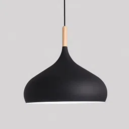 Ceiling Light Ceiling Lamp-24