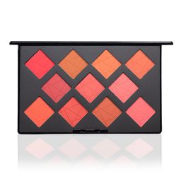 PAC High-Pigment Take Cover Blusher-10