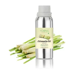 YOUNG CHEMIST Citronella Essential Oil - 100 ml-image-79