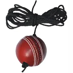 HackerX Leather Cricket Hanging Ball-14