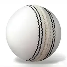 HackerX Leather Sports Cricket Ball-16