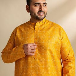 SOJANYA PLUS Ethnic Motifs Printed Mandarin Collar Cotton Straight Kurta-image-19