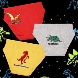 NUSYL Boys Pack Of 3 Printed Mid Rise Basic Briefs - NUBCBRFPO3.0118-image-92