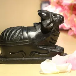 nandi murti shivling nandi idol nandi ji nandi statue shivling Decorative Showpiece - 8 cm-image-7