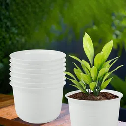 Kuber Industries 8Pcs White Textured Planters With Plate-image-41