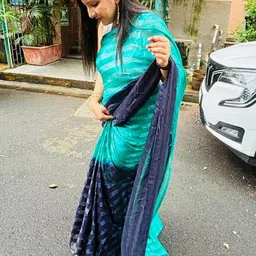 Moda Rapido Striped Satin Half and Half Saree-picture-10