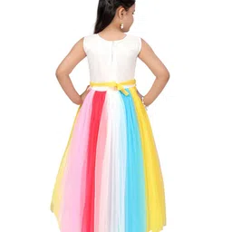 Aarika Net Fit & Flare Maxi Dress image 5
