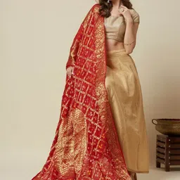 Dupatta Bazaar Paisley Woven Design Silk Dupatta-picture-27