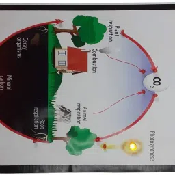 melody's Carbon Cycle - Science Working Model Using Running LED Lights image 3
