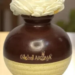 GLOBAL AROMA White Sage Fragracne Ethenic Flower Pot Reed Diffuser Set image 5