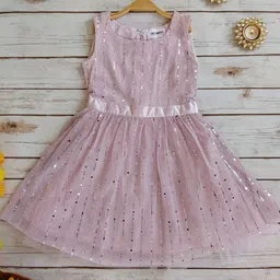LABEL KANUPRIYA Net Fit & Flare Dress-70