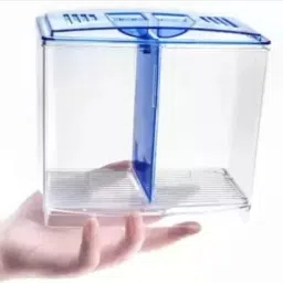 Double House Betta Tank Small Fish Tank for Aquarium Plant Anchor Aquarium Plant Anchor-image-14