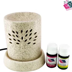 gifdeco LEMONGRASS, RAJNIGANDHA Diffuser Set, Diffuser, Aroma Oil, Refill image 2
