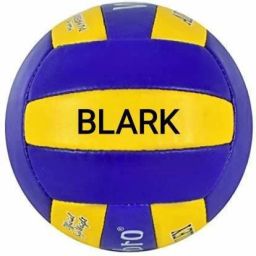 CLASSIC VOLLEYBALL 2020 WITH AIR PIN Volleyball - Size: 4-image-36