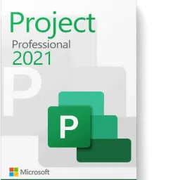 MICROSOFT Project Professional 2021 (1 User, Lifetime Validity)-image-50