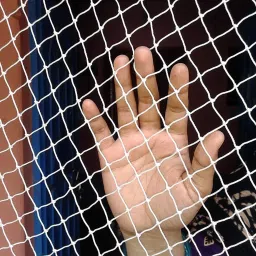 sai praseeda UV Stabilized Nylon Pigeon Net_Bird Net_Monkey Net_10 X 12 Feet_White Color Camping Net image 3