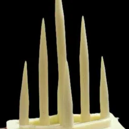 Bird Spike-picture-19