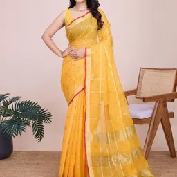 AMRUTKALA SAREES Checked Woven Design Zari Saree-picture-15