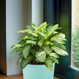 Kuber Industries Blue Striped Artificial Flower With Pot-18
