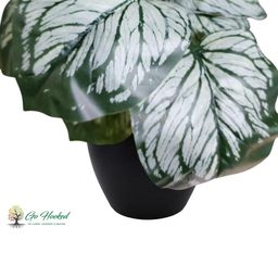 Go Hooked Green Pack of 2 Artificial Plant with Pot Decorative Indoor Outdoor image 5