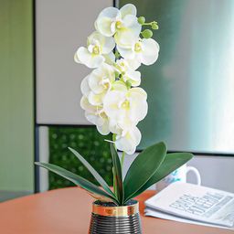Ekhasa White & Green Orchid Artificial Flower With Cement Vase Pot-picture-40