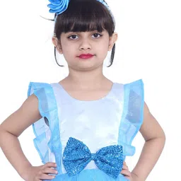 Wish little Girls Net Fit and Flare Party Dress-43