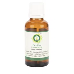 R V Essential Pure Pine Essential Oil- 15 ml-16