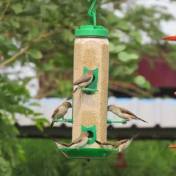 Large Hexagon Shape Window Bird Feeder-picture-26
