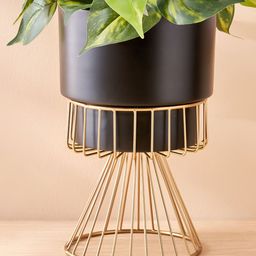 Home Centre Gloria Black & Gold-Toned Metal Wire Conical Planter-image-51