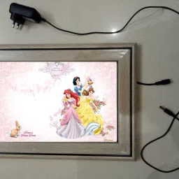 , CINDERELLA MODAL NO-39 , 15.5 inch LED PHOTO FRAME-picture-40