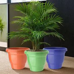 Kuber Industries Set Of 3 Plastic 2-Layer Planters-20