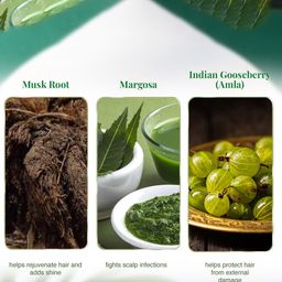 VLCC Set Of 4 Natural & Herbal Heena Hair Color With Buy 1 Get 1 Free- 120 g Each image 2