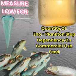 pond master Zoo Plankton Measuring Net with Plankton Measuring Glass Test Tube | Aquarium Fish Net image 2